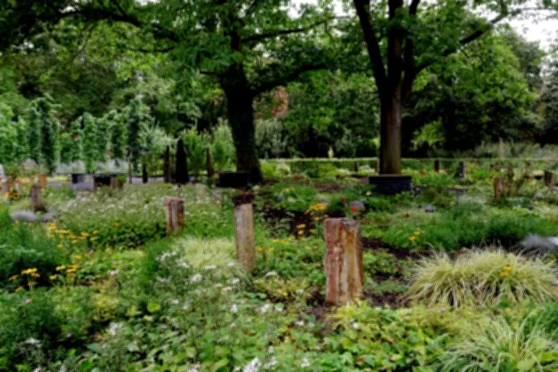 Hertfordshire Town to Reuse Century-Old Graves Due to Space Crisis
