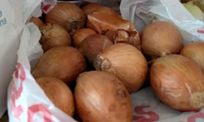Hidden Potato Among Onions in Tricky Optical Illusion Stumps Reddit