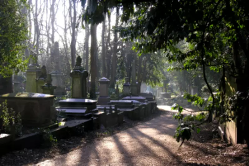Highgate Cemetery Secures £6.7m Grant to Combat Climate Change Threats