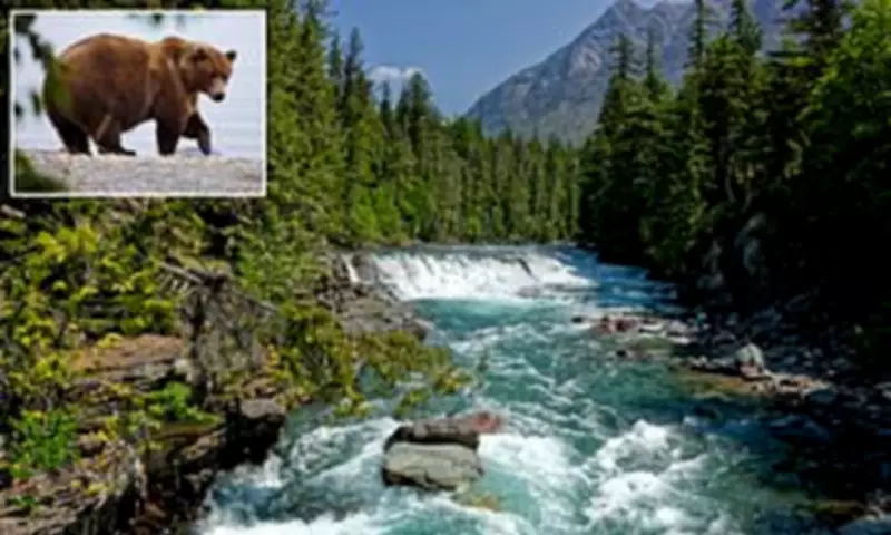 Hiker Found Dead in Glacier National Park in Possible Bear Attack