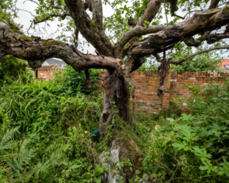 Historic Bramley Apple Tree Cottage Sold in Nottinghamshire