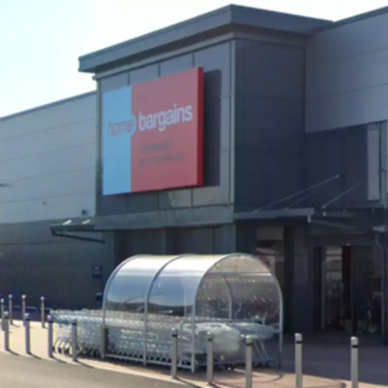 Home Bargains £4.99 Classic Plant Pot Lasts Season After Season