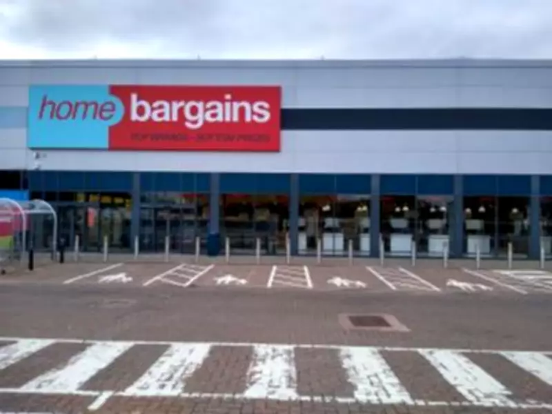 Home Bargains £7 Solar Fountain Adds Magical Touch to Gardens