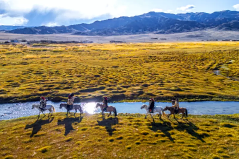 Horse Riding by Humans Pushed Back 1,000 Years, New Study Finds