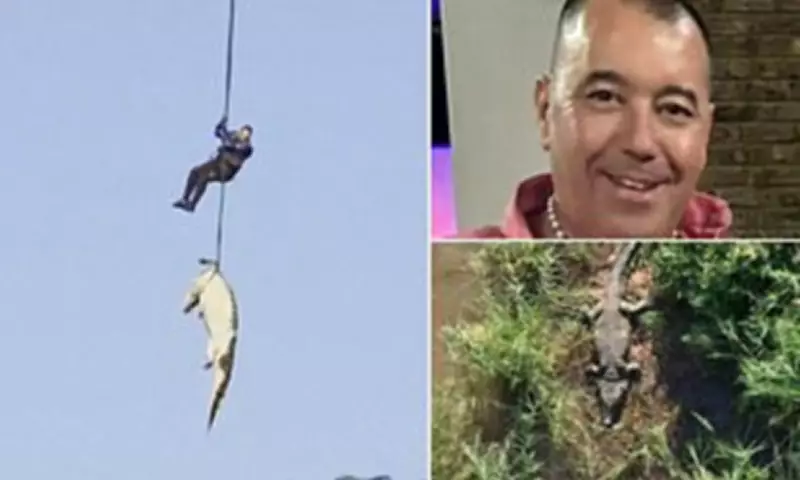 Hotel Owner Eaten by Crocodile Identified After Remains Found in Stomach