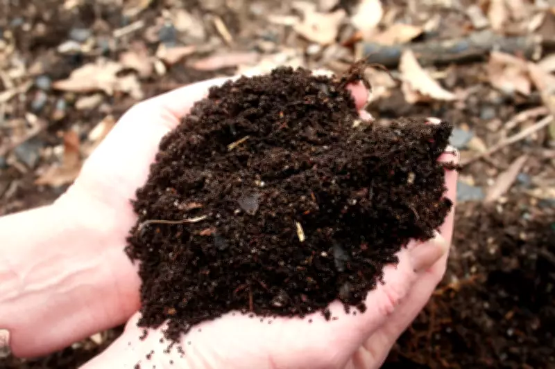 How to Mulch Garden Beds Correctly Without Harming Plants
