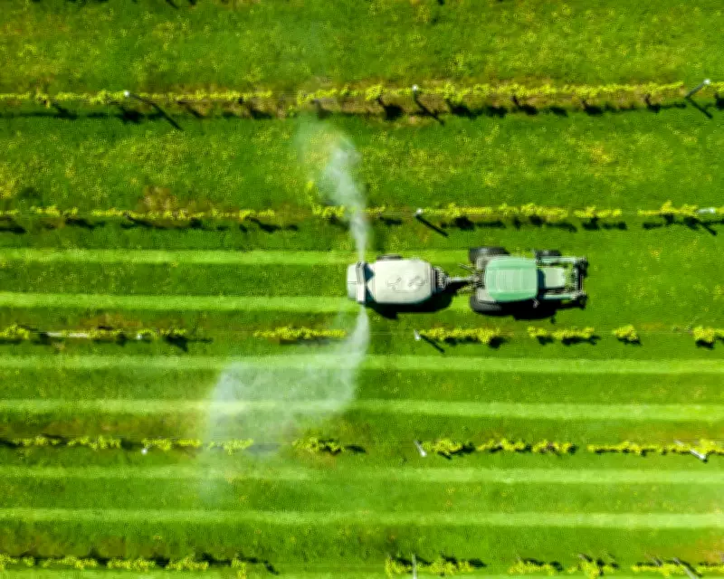 How to Reduce Reliance on Oil-Based Products in Daily Life