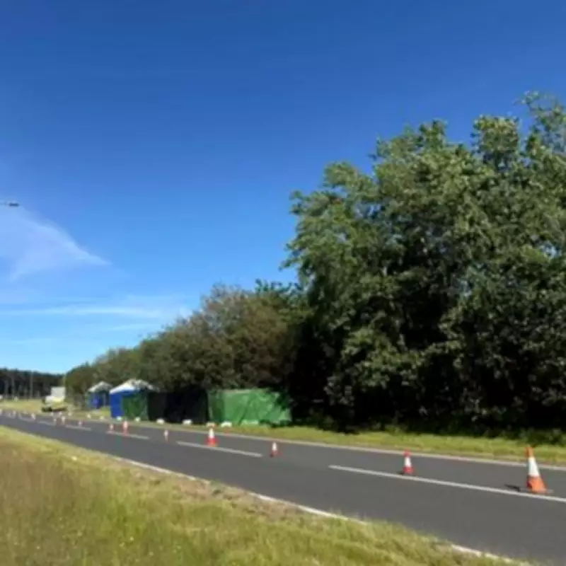 Human Skeletal Remains Found in Woods Near Busy Nottinghamshire Bypass