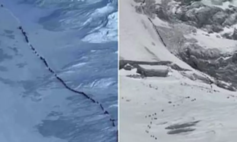 Hundreds of Everest Climbers Queue in Dangerous 'Death Zone'