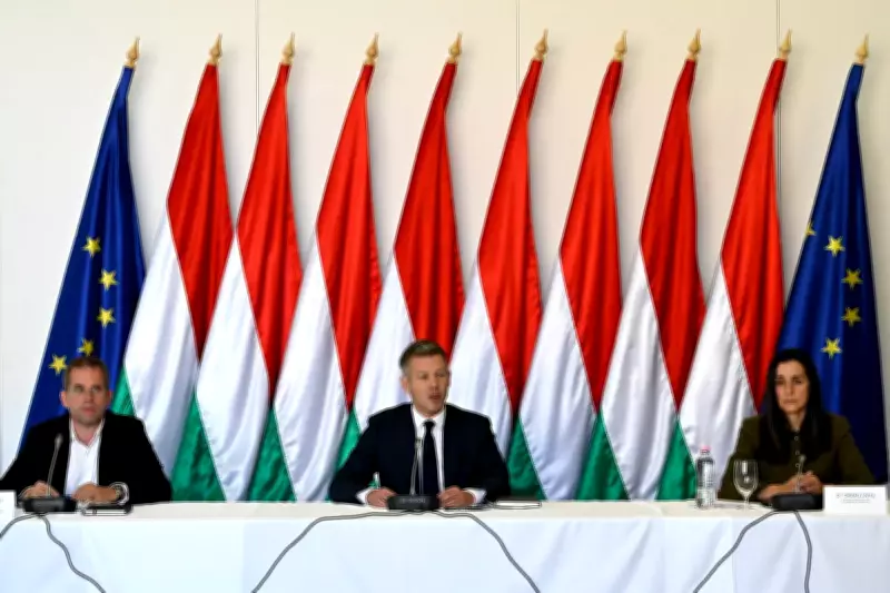 Hungary Summons Russian Ambassador Over Drone Attack Near Border