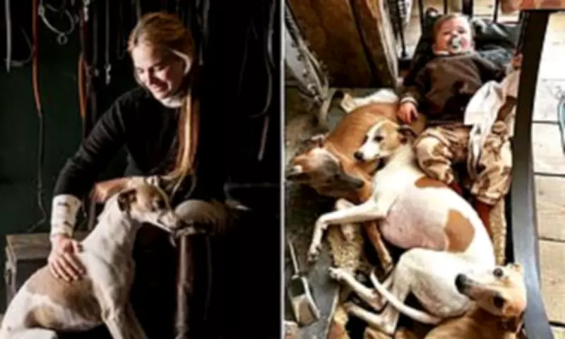 Huntswoman of Instagram Pleads for Return of Missing Whippets in Devon