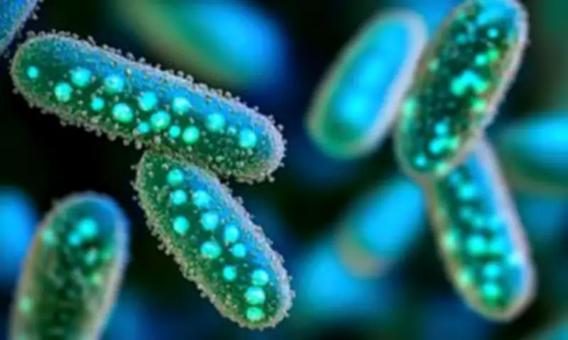 Immune Cell Training Offers New Hope Against Drug-Resistant Infections