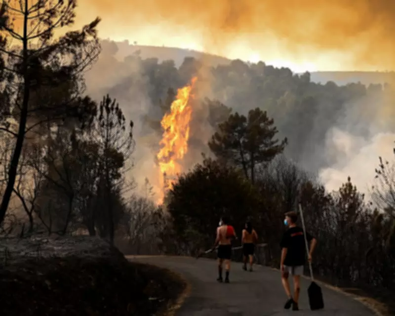 Inequality Causes 100,000 Extra Heat and Cold Deaths in Europe