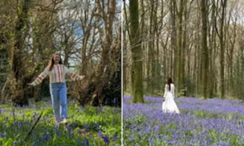 Influencers Trample UK Bluebells, Locals Outraged Over Damage