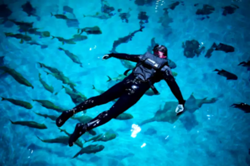 Injured US Veterans Find Relief Swimming with Whale Shark in Atlanta