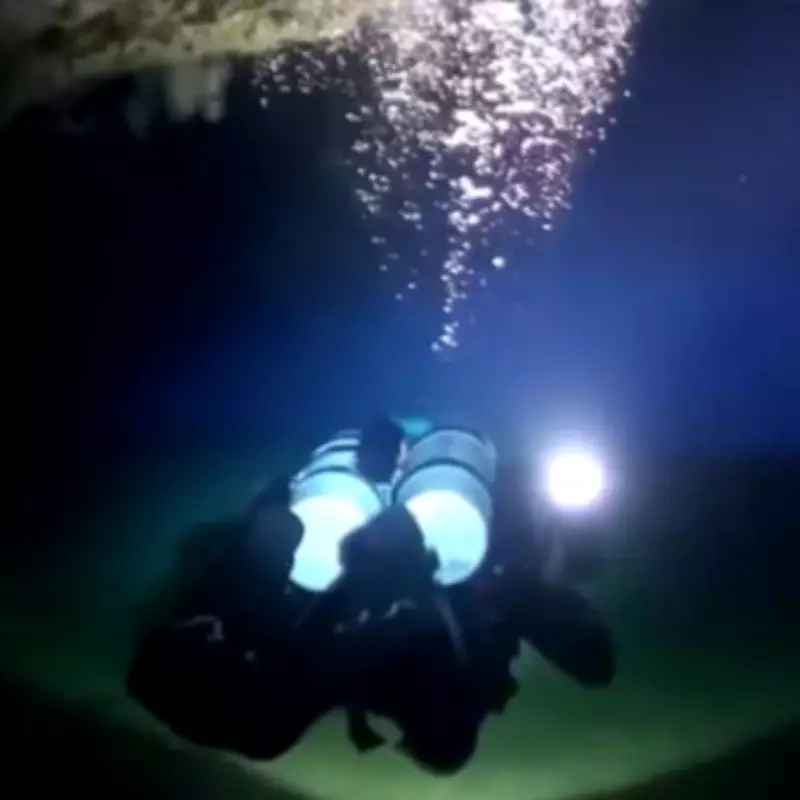 Inside Haunting Maldives 'Shark Cave' Where Five Divers Died