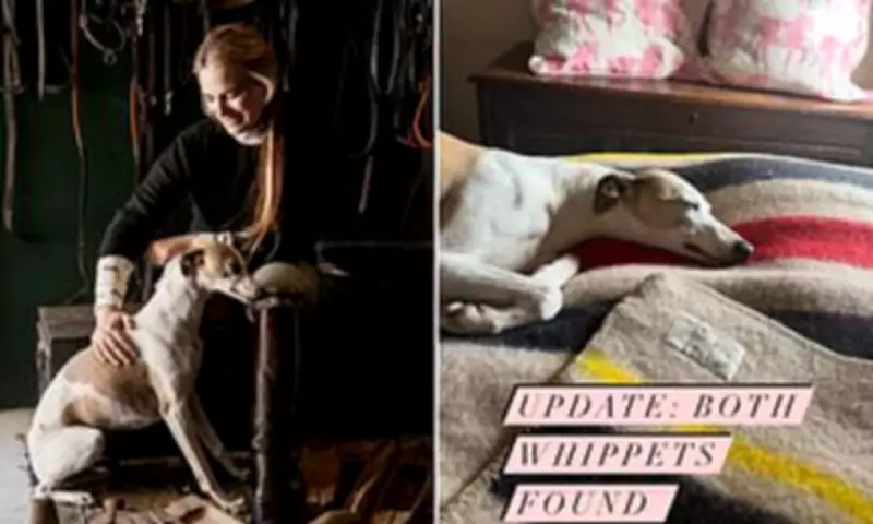 Instagram's 'Huntswoman' Reunited with Whippets After Mediums' Help