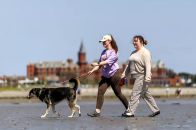 Ireland Heatwave Breaches May Records as Weather Warning Issued
