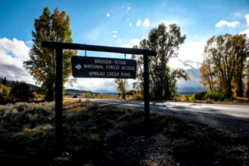 Jackson Hole Trails Study Reveals Wildlife Coexists with Heavy Recreation