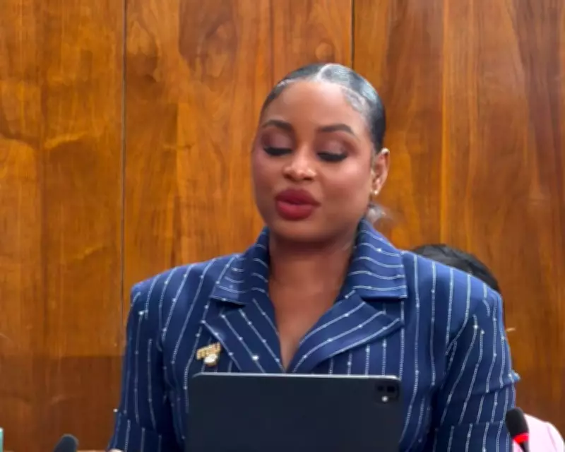 Jamaican MP sparks language row by speaking patois in parliament