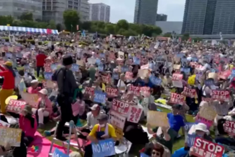 Japan's Largest Pacifist Protest Opposes Constitution Changes