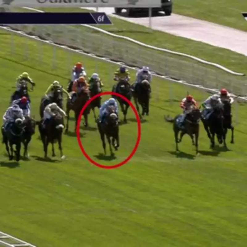 Jockey Diego Lima Banned 24 Days for Hitting Horse Over Head with Whip