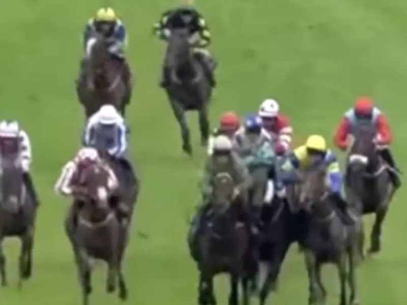 Jockey Philip Byrnes Banned 21 Days for Dangerous Riding at Limerick