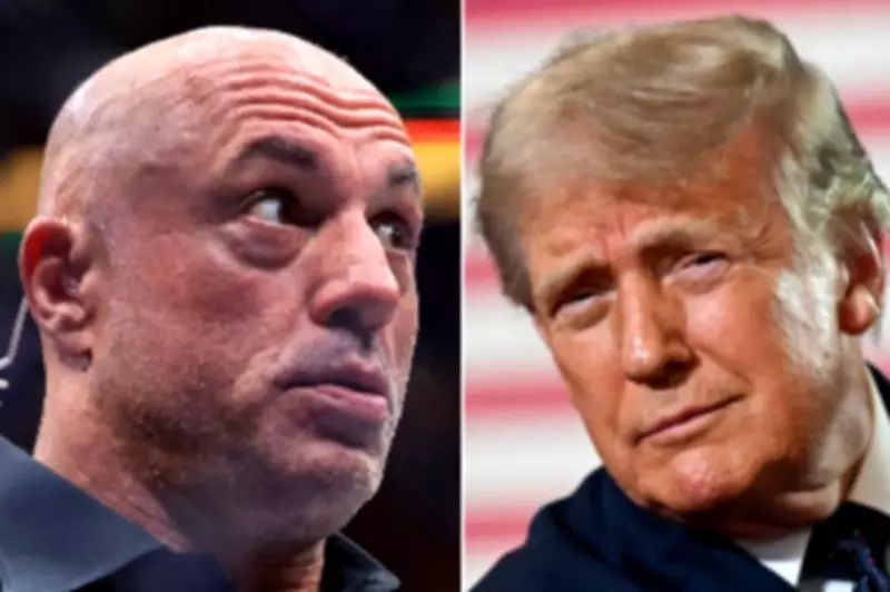 Joe Rogan Mocks Trump's DOJ for Blocking IRS Audits: 'That Is So Crazy'