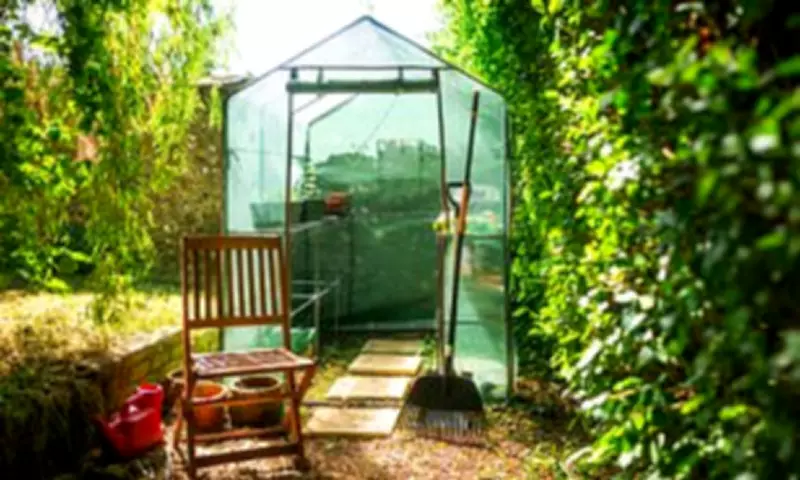 June Gardening Checklist: 8 Tasks for a Vibrant Summer Garden