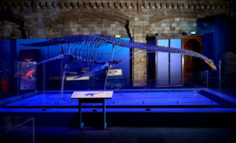 Jurassic Oceans: NHM Exhibition Showcases Prehistoric Sea Monsters