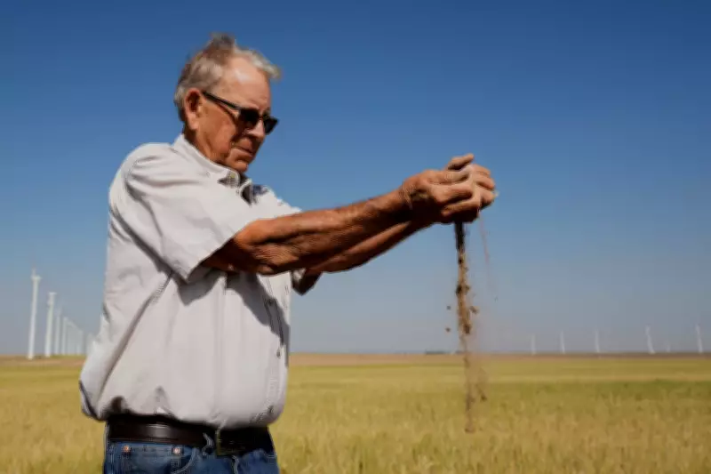 Kansas Wheat Crop Faces Worst Season Since 1972 Amid Drought and Rising Costs