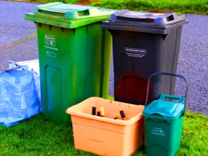 Keep Wheelie Bins Fly-Free All Summer with This Simple Newspaper Trick