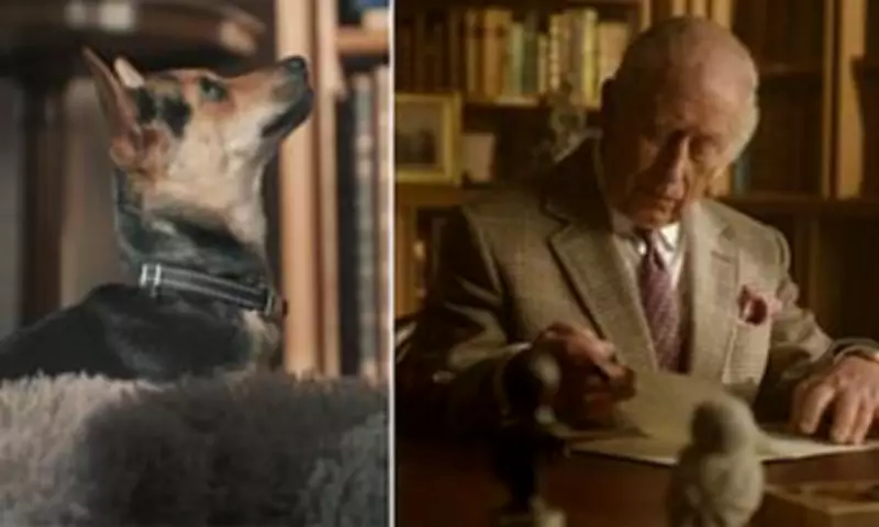 King Charles and Queen Camilla Secretly Film Tribute for Sir David Attenborough's 100th