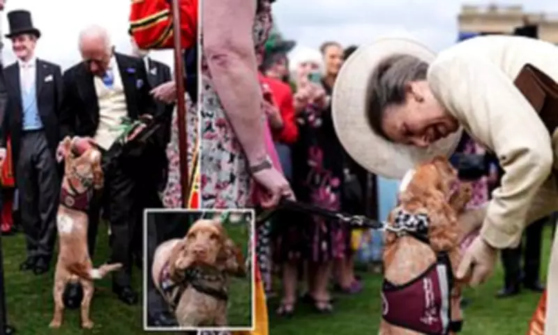 King Charles and Queen Camilla's Garden Party Stolen by Adorable Hearing Dog Vegas