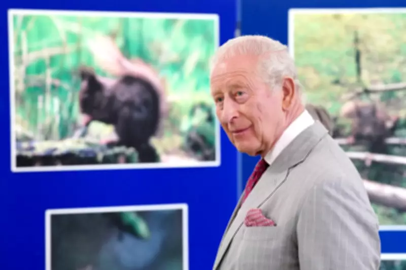 King Praised for Harmony with Nature at Red Squirrel Contraception Project