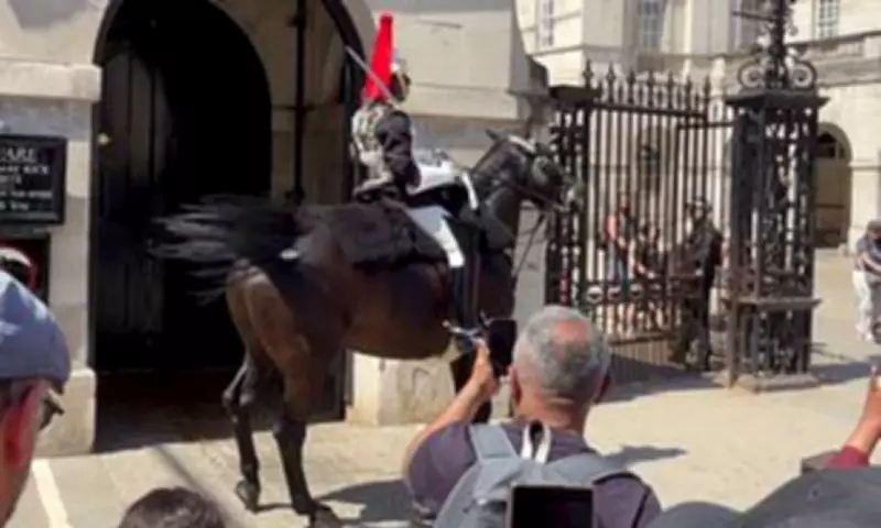 King's Guard Horse Distressed as UK Bakes in Record May Heatwave