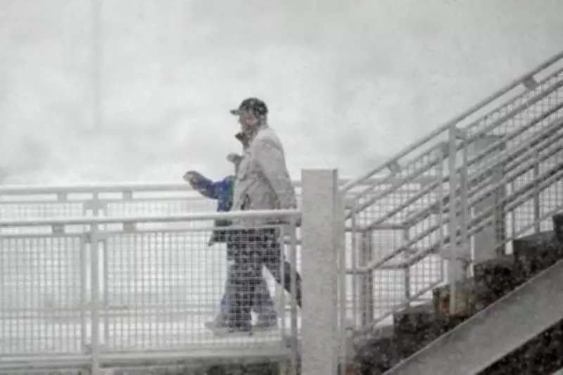 Late Spring Snowstorm Hits Colorado, Closes Schools and Disrupts Travel