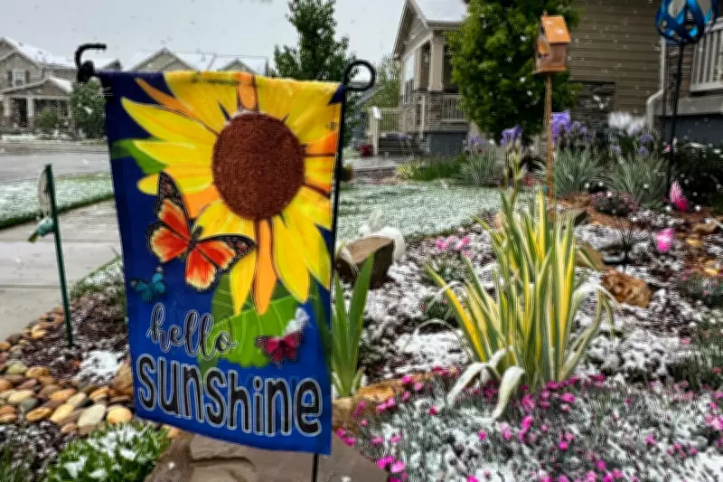 Late Spring Snowstorm Set to Blanket Denver in Biggest Snowfall of Season