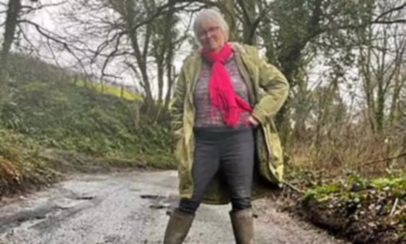 Lib Dem councillor urges taxpayers to fill potholes with manual guide