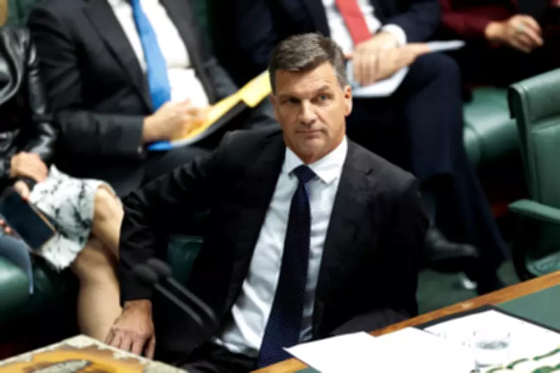 Liberal MPs Warn Party 'Corroded by Hate' Over Taylor's Immigration Policy