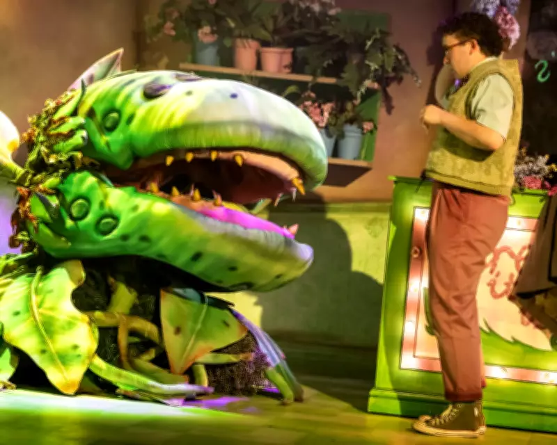 Little Shop of Horrors Review: Mixed Bouquet of Kooky Romance and B-Movie Fun