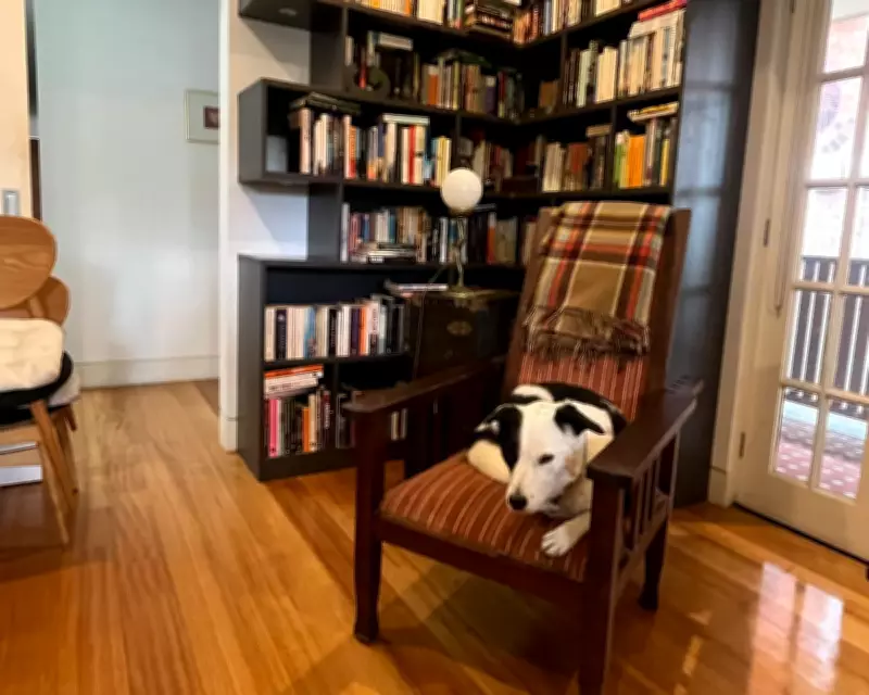 Living with Beloved Ghosts: Possessions That Evoke Memories of the Departed