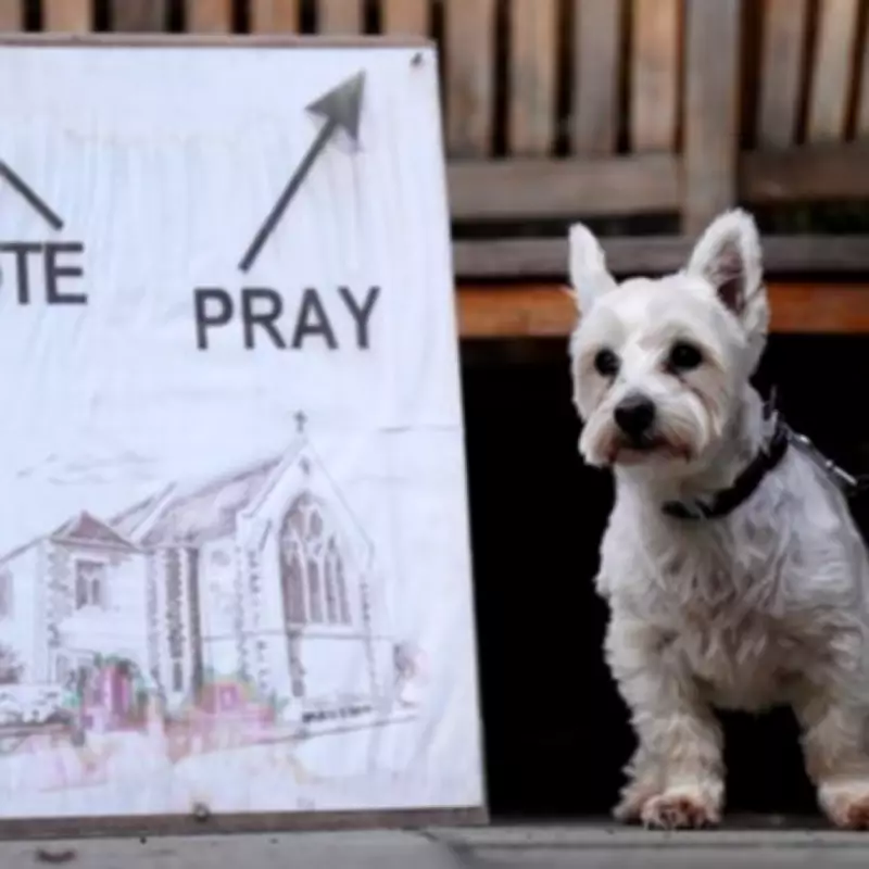 Local Elections 2026: Dogs and Unusual Polling Stations Steal the Show