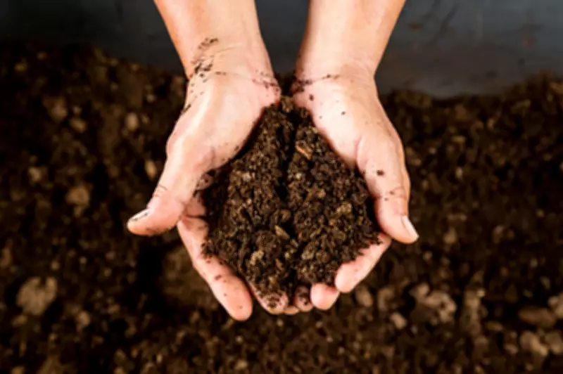 Maine High School Students Mistake Baked Soil for Dessert at Charity Event
