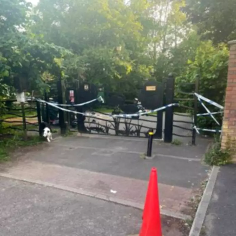 Major Search Underway at Pickmere Lake for Missing Teen Swimmer