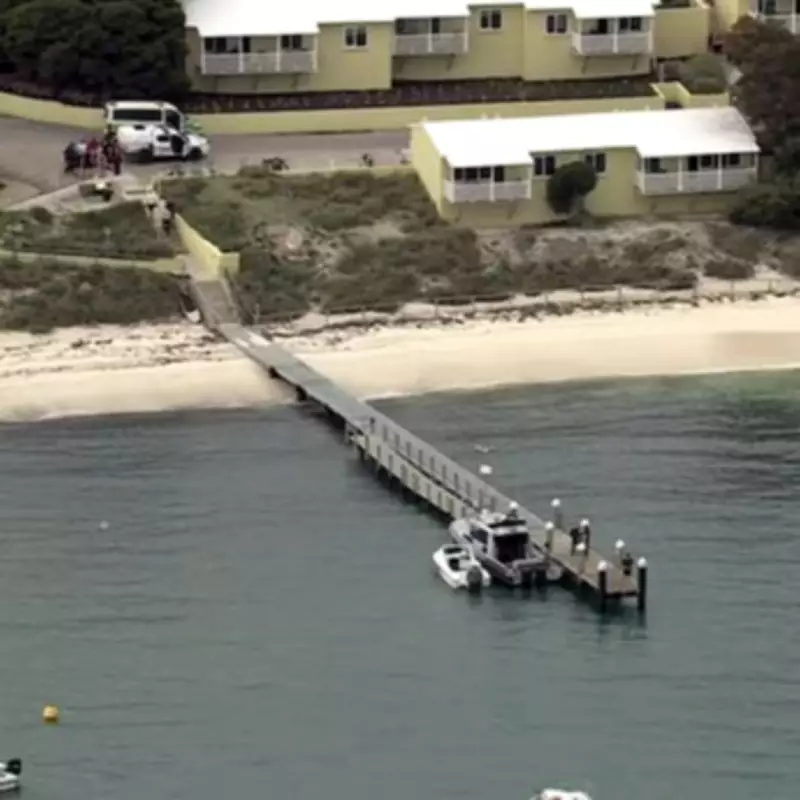 Man Critical After 5-Metre Shark Attack at Australian Tourist Island