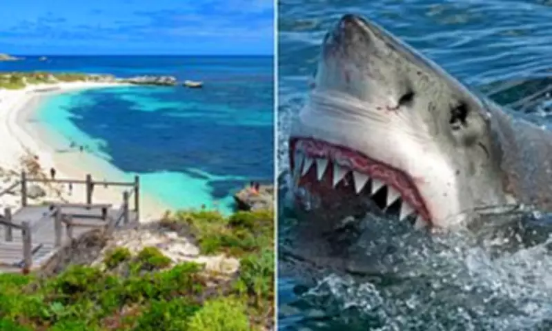 Man Critically Injured in Shark Attack at Rottnest Island Near Perth