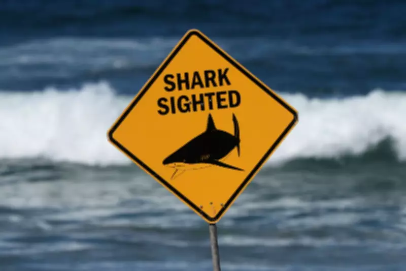 Man Dies in Shark Attack at Popular Australian Holiday Island