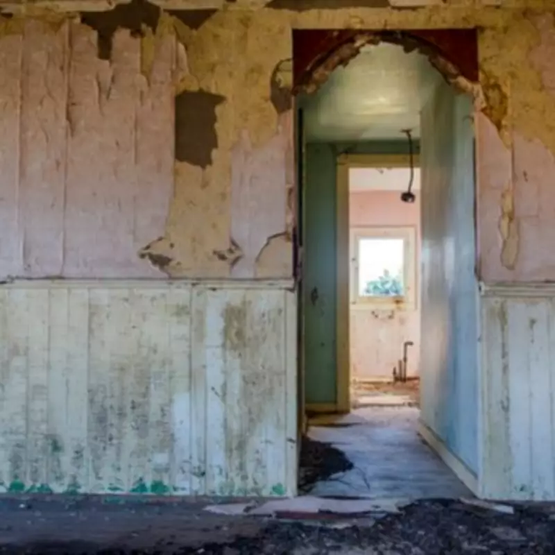 Man Discovers Kitten Trapped in Wall After Hearing Scratching