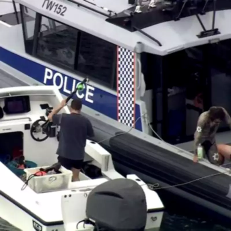 Man Killed by 4m Great White Shark While Spearfishing Near Rottnest Island